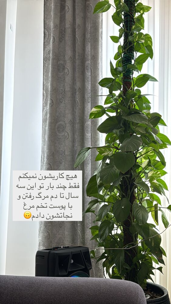  جدید ترین استوری اینستاگرام آیه کوچ