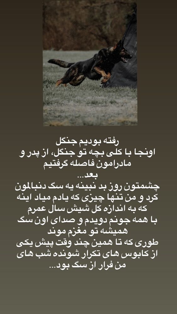  جدید ترین استوری اینستاگرام آیه کوچ