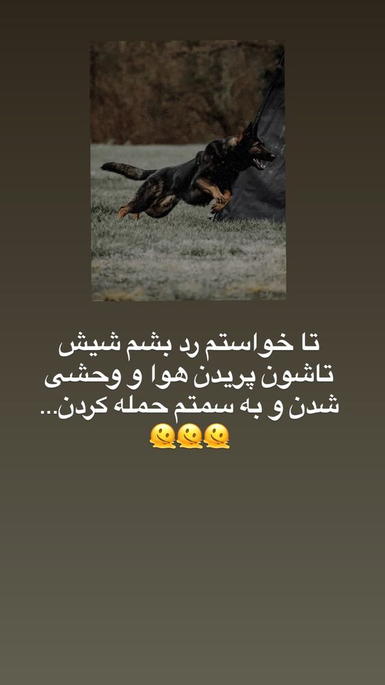 جدید ترین استوری اینستاگرام آیه کوچ
