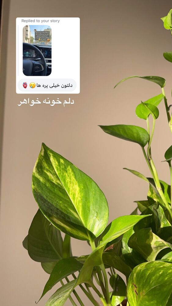  جدید ترین استوری اینستاگرام آیه کوچ
