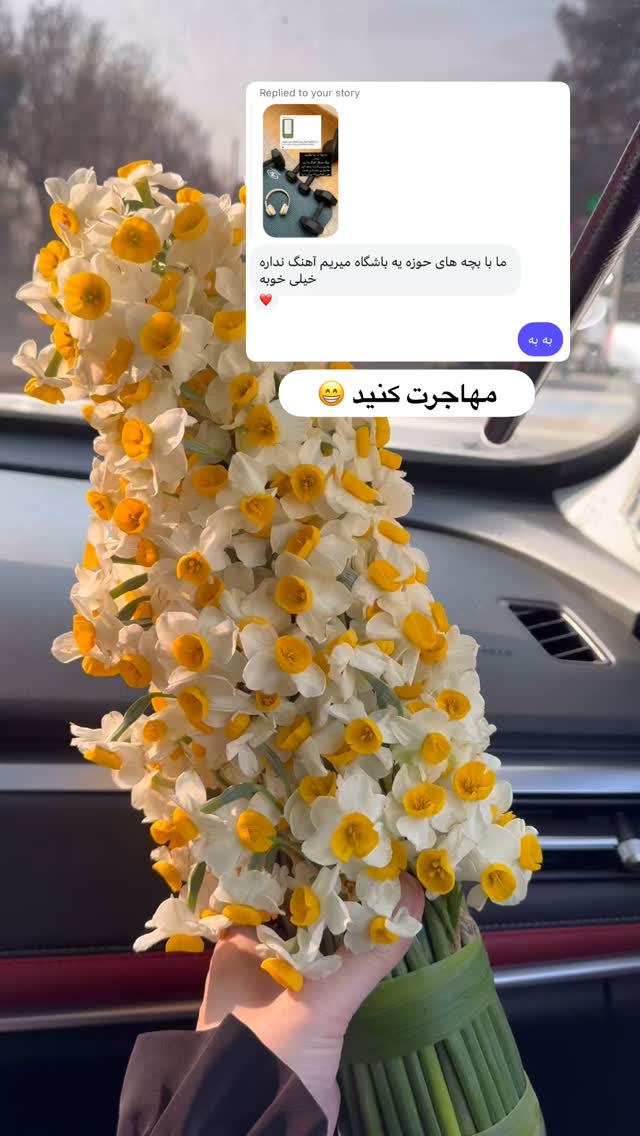  جدید ترین استوری اینستاگرام آیه کوچ