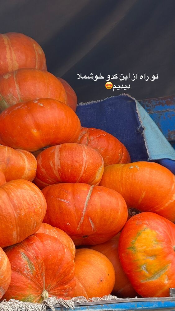  جدید ترین استوری اینستاگرام آیه کوچ
