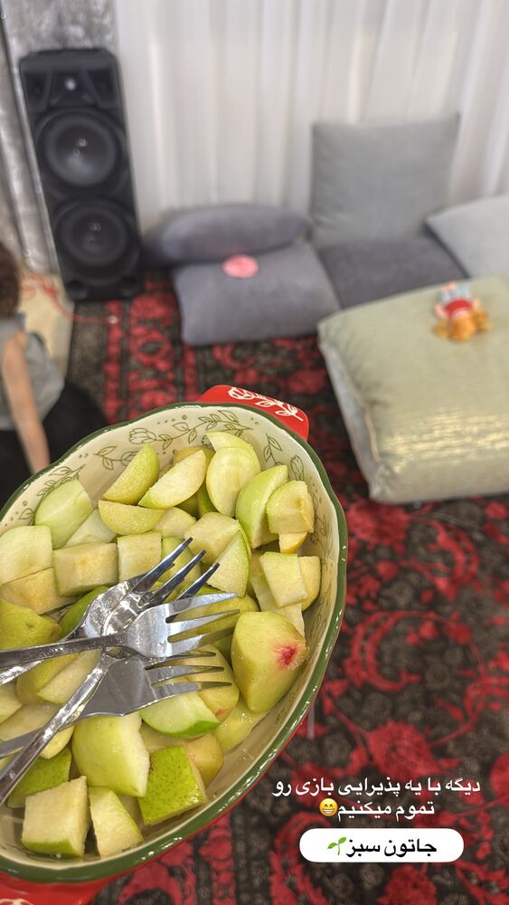  جدید ترین استوری اینستاگرام آیه کوچ