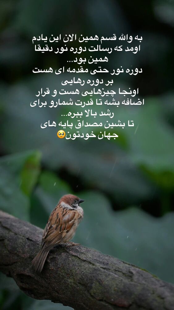  جدید ترین استوری اینستاگرام آیه کوچ