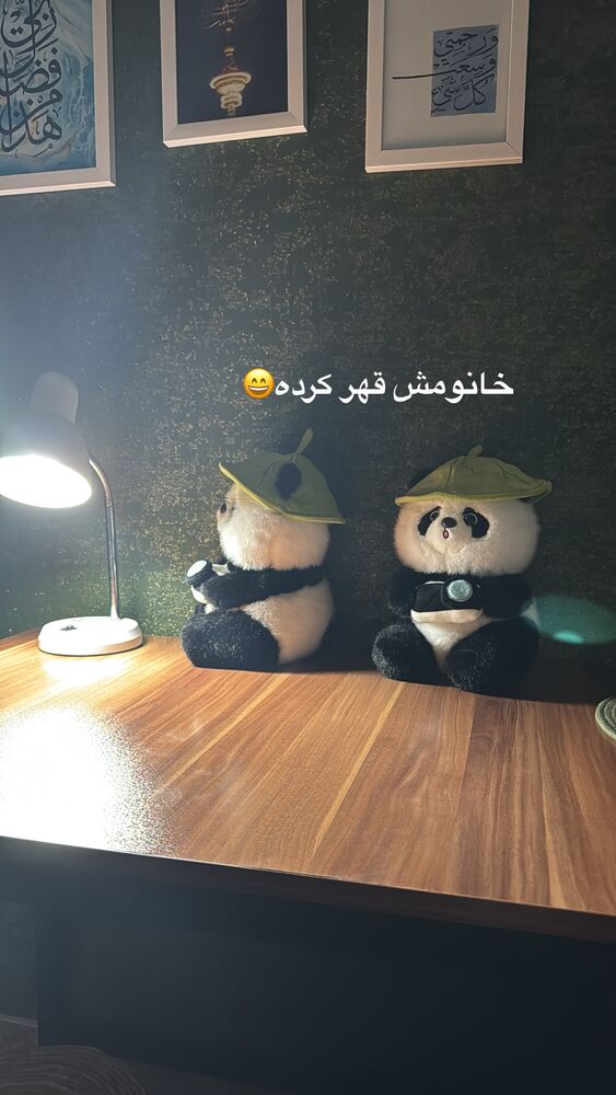  جدید ترین استوری اینستاگرام آیه کوچ