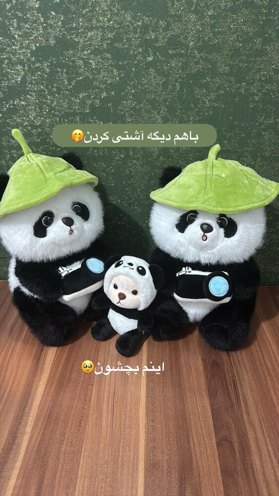  جدید ترین استوری اینستاگرام آیه کوچ