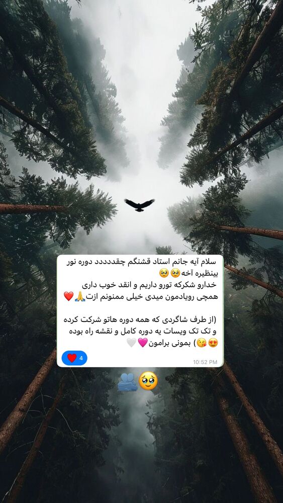  جدید ترین استوری اینستاگرام آیه کوچ