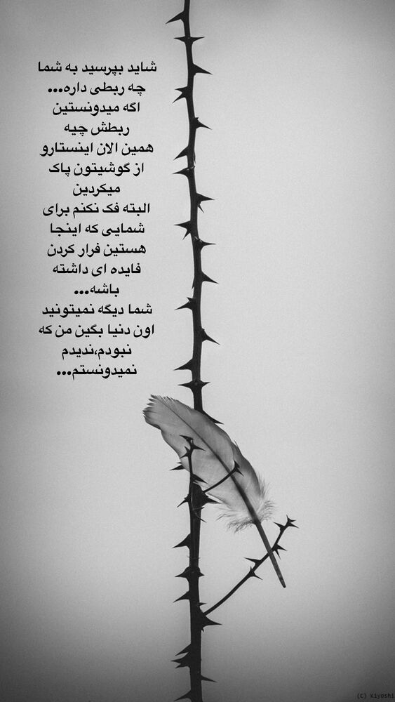  جدید ترین استوری اینستاگرام آیه کوچ