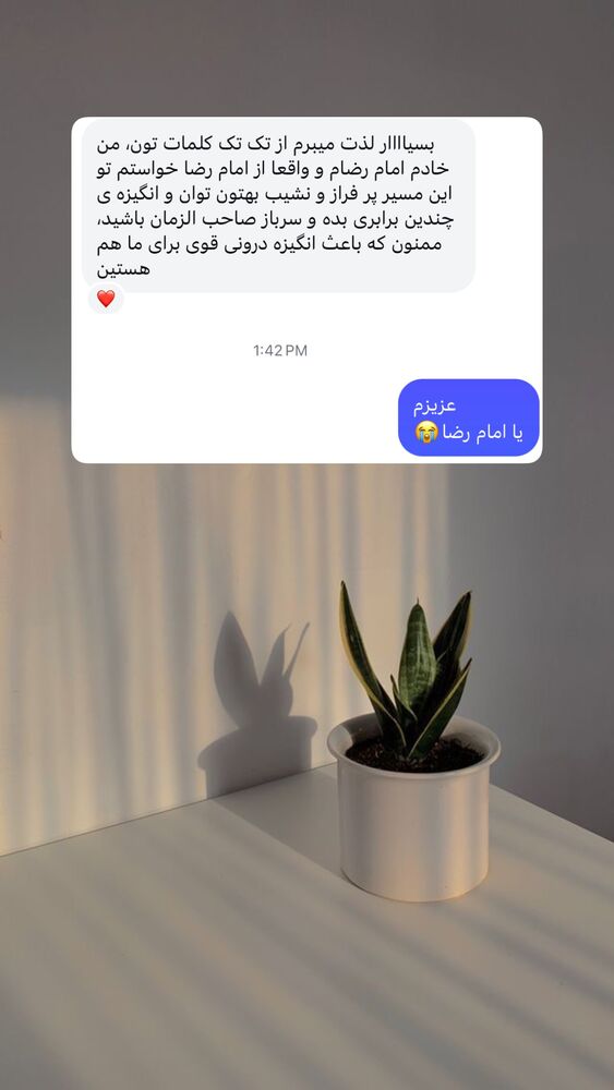  جدید ترین استوری اینستاگرام آیه کوچ