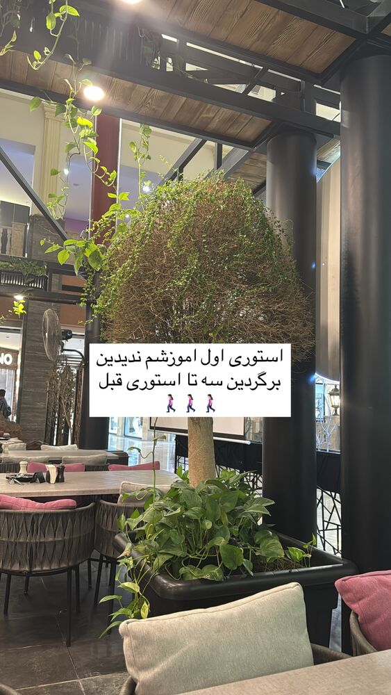  جدید ترین استوری اینستاگرام آیه کوچ