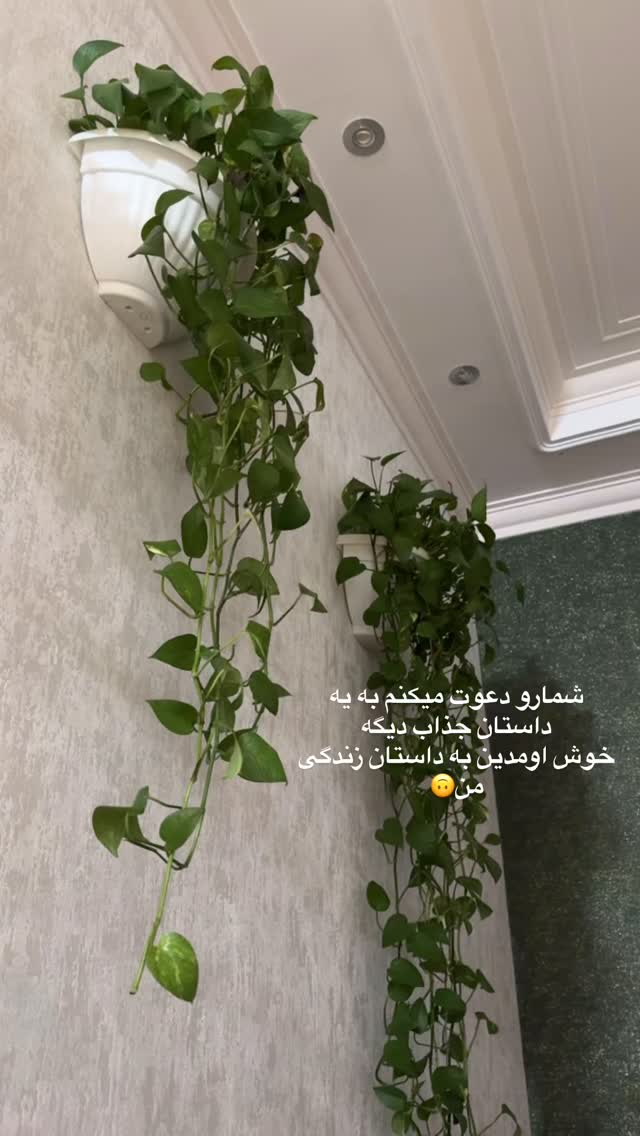  جدید ترین استوری اینستاگرام آیه کوچ