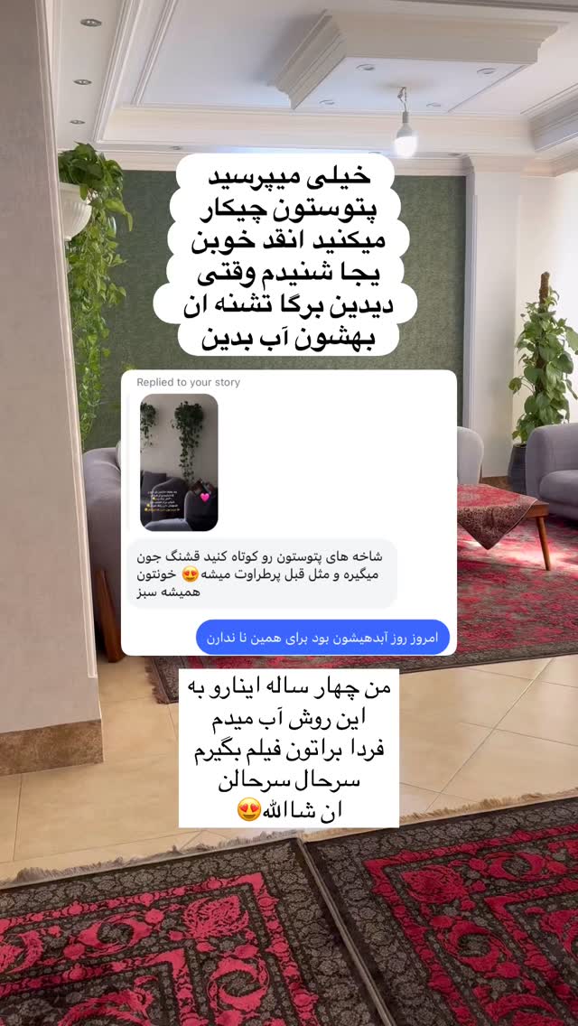  جدید ترین استوری اینستاگرام آیه کوچ