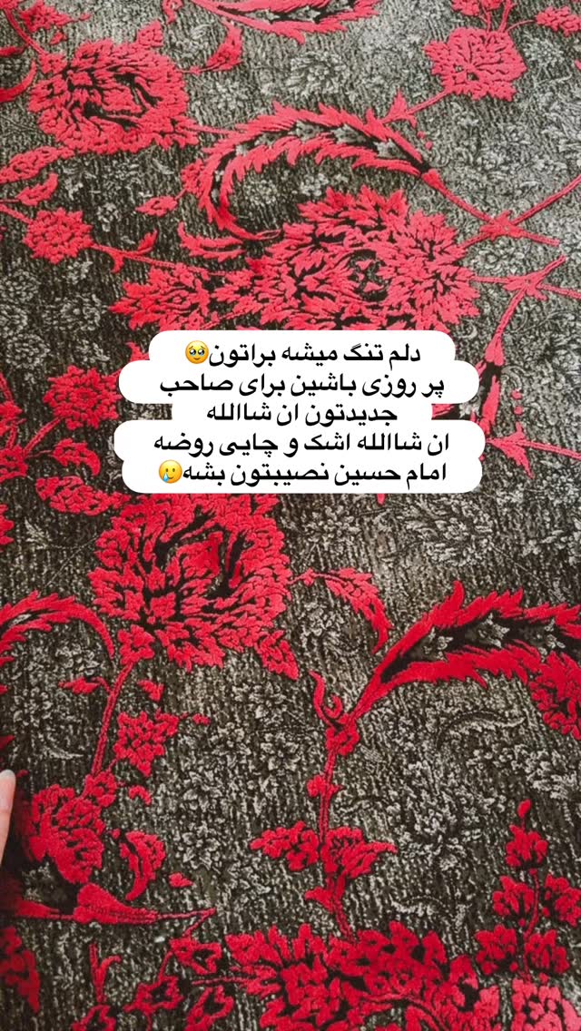  جدید ترین استوری اینستاگرام آیه کوچ
