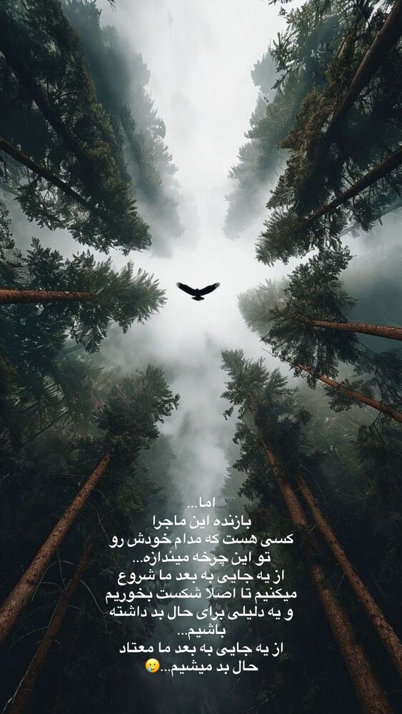  جدید ترین استوری اینستاگرام آیه کوچ