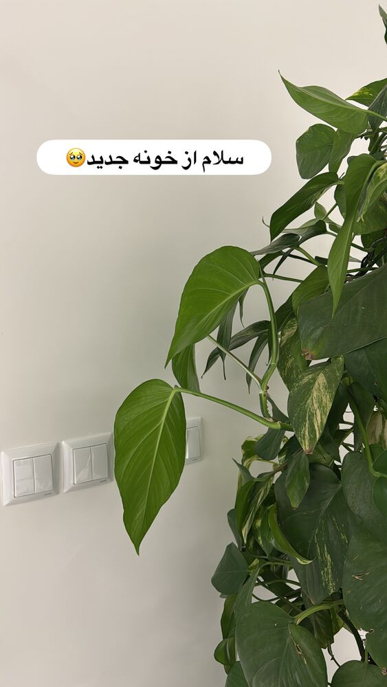  جدید ترین استوری اینستاگرام آیه کوچ