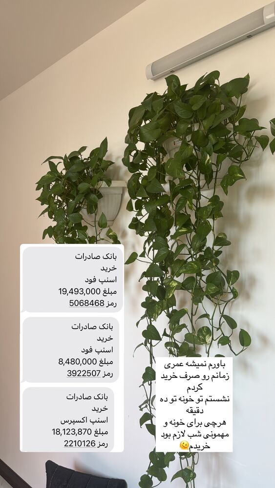  جدید ترین استوری اینستاگرام آیه کوچ