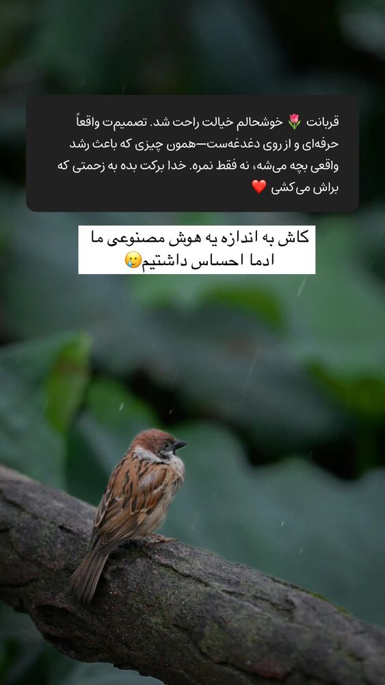  جدید ترین استوری اینستاگرام آیه کوچ
