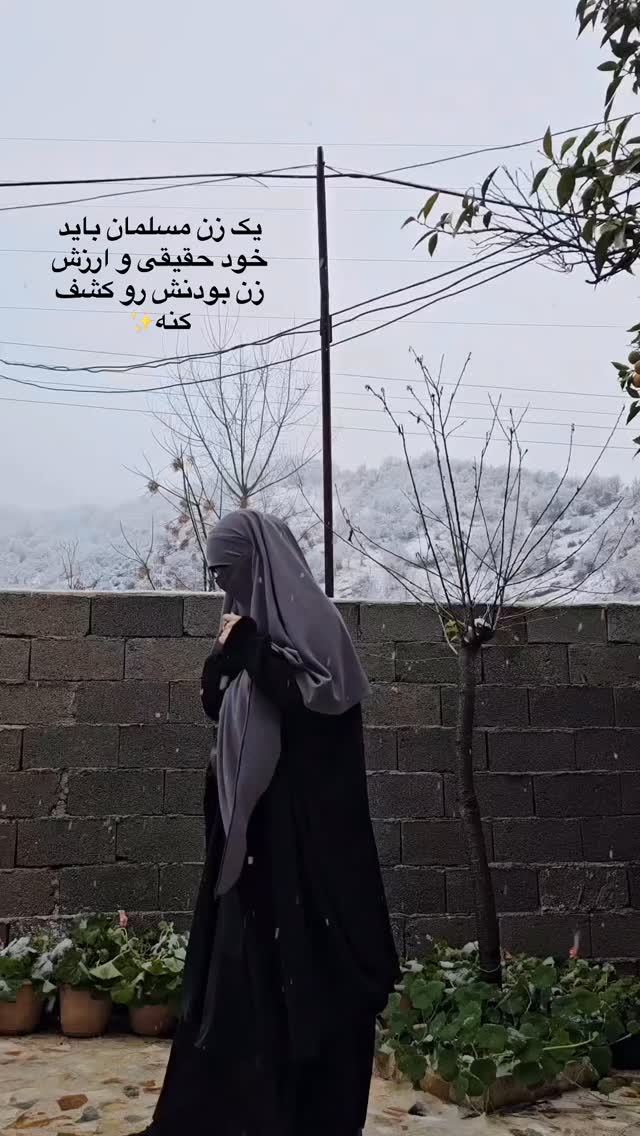  جدید ترین استوری اینستاگرام آیه کوچ