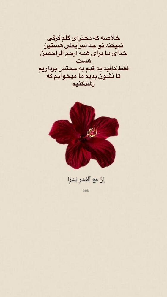  جدید ترین استوری اینستاگرام آیه کوچ