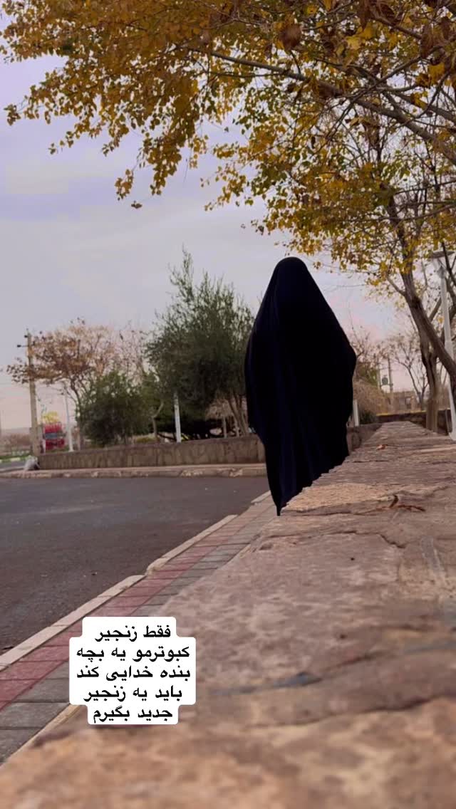  جدید ترین استوری اینستاگرام آیه کوچ