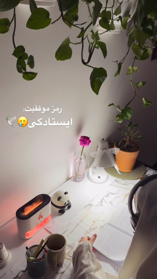  جدید ترین استوری اینستاگرام آیه کوچ