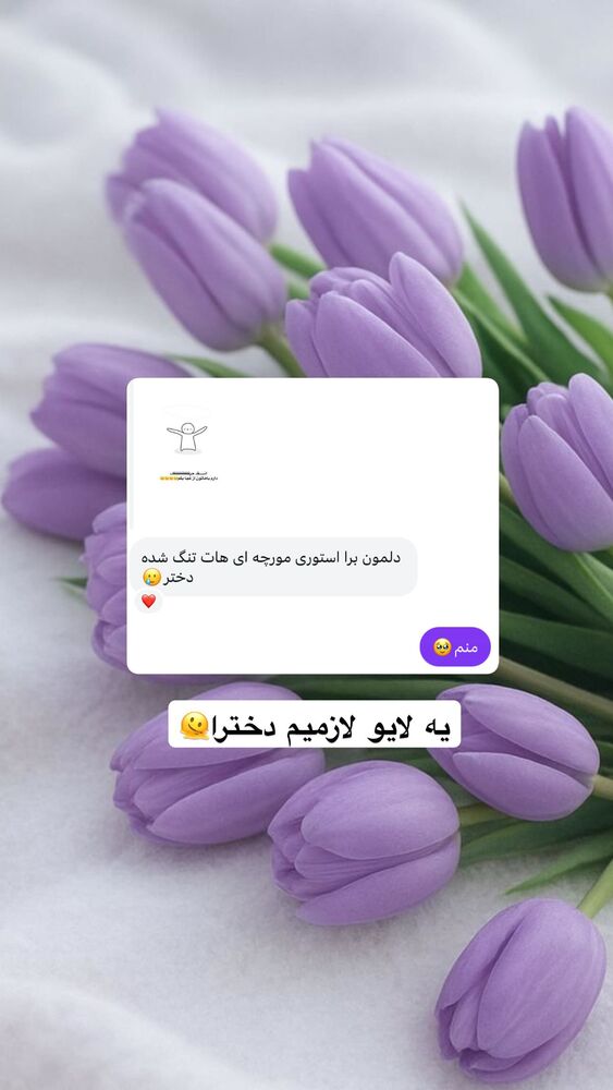  جدید ترین استوری اینستاگرام آیه کوچ