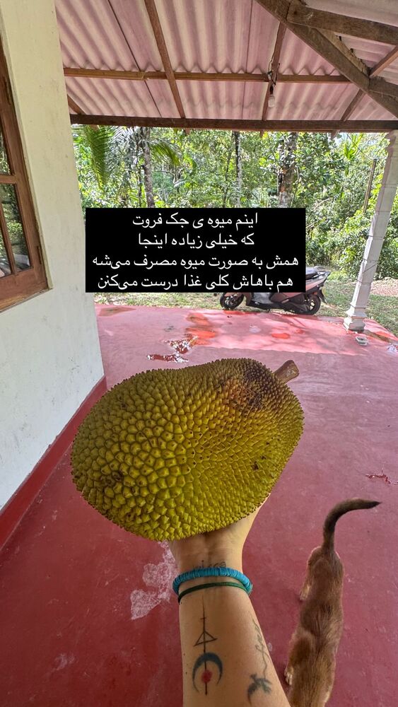  جدید ترین استوری اینستاگرام آزاده اسدی