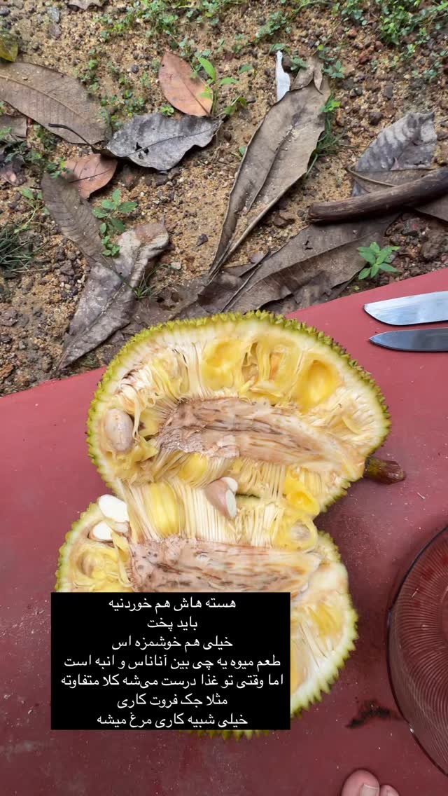  جدید ترین استوری اینستاگرام آزاده اسدی