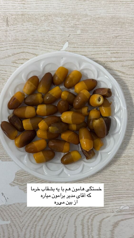  جدید ترین استوری اینستاگرام آزاده اسدی