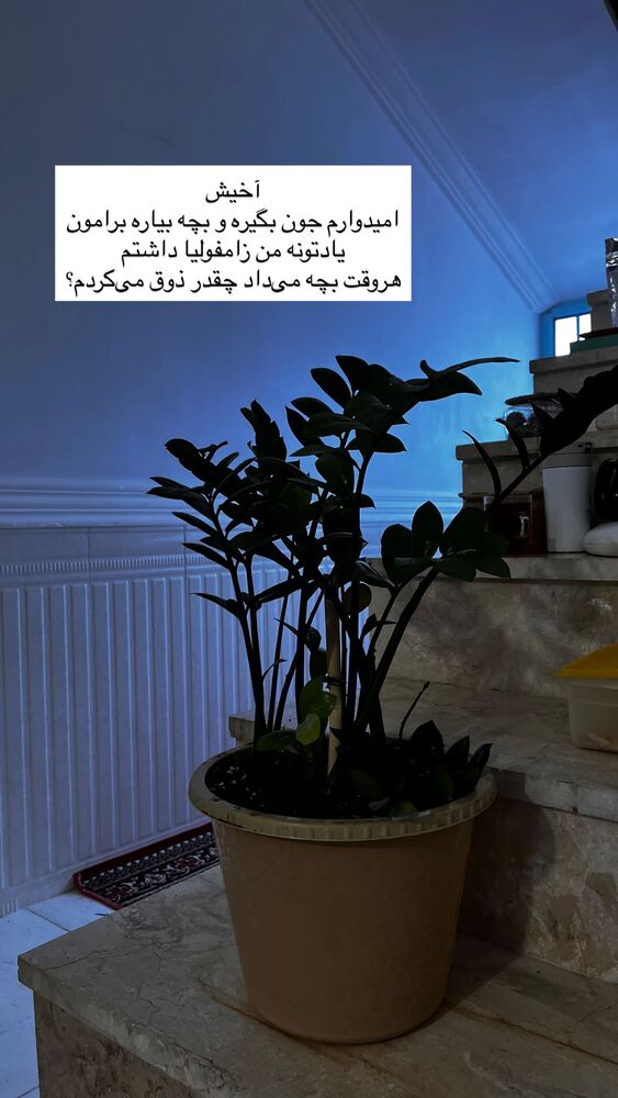  جدید ترین استوری اینستاگرام آزاده اسدی