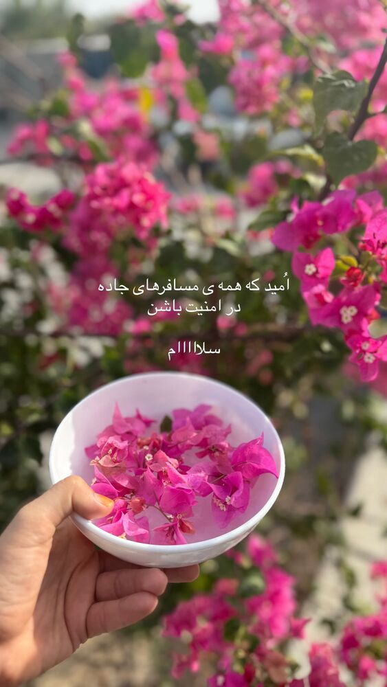  جدید ترین استوری اینستاگرام آزاده اسدی