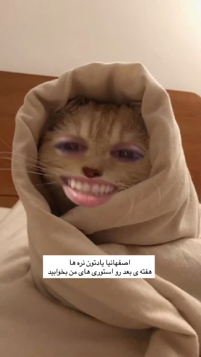  جدید ترین استوری اینستاگرام آزاده اسدی