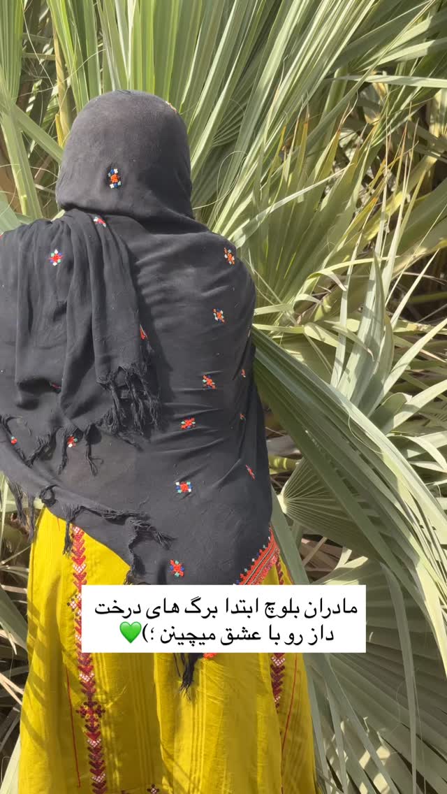  جدید ترین استوری اینستاگرام آزاده اسدی