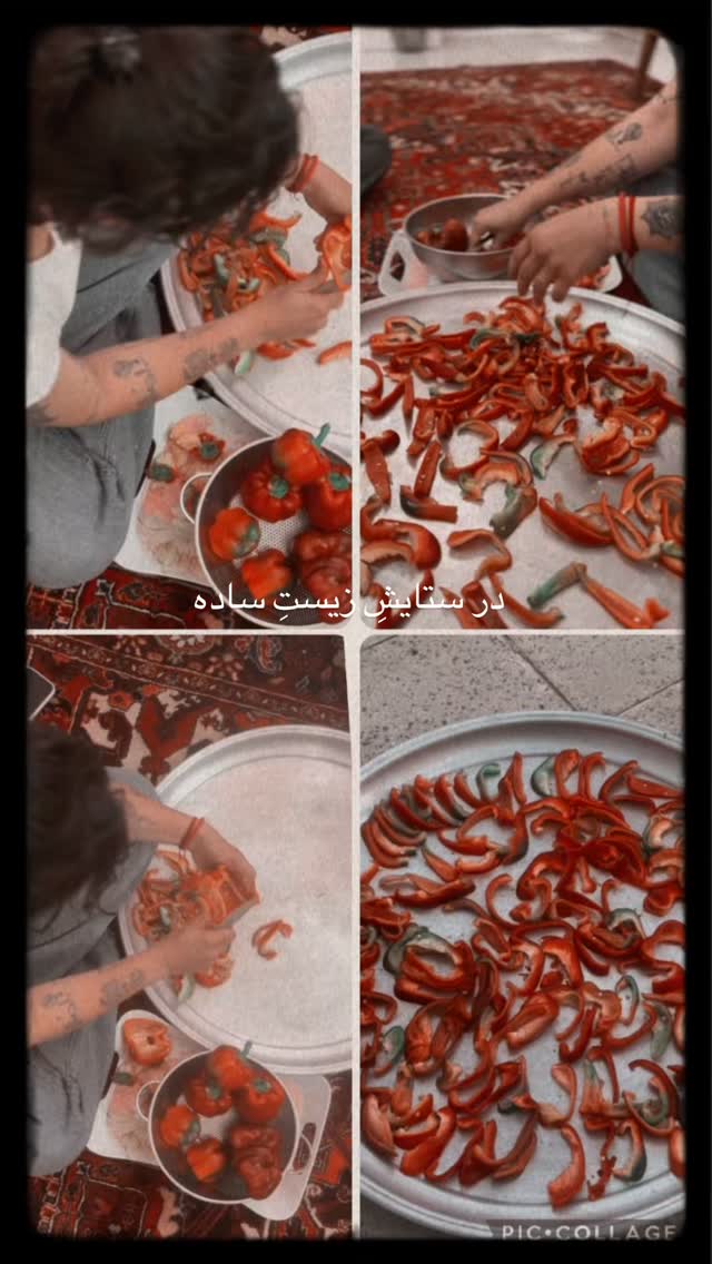  جدید ترین استوری اینستاگرام آزاده اسدی