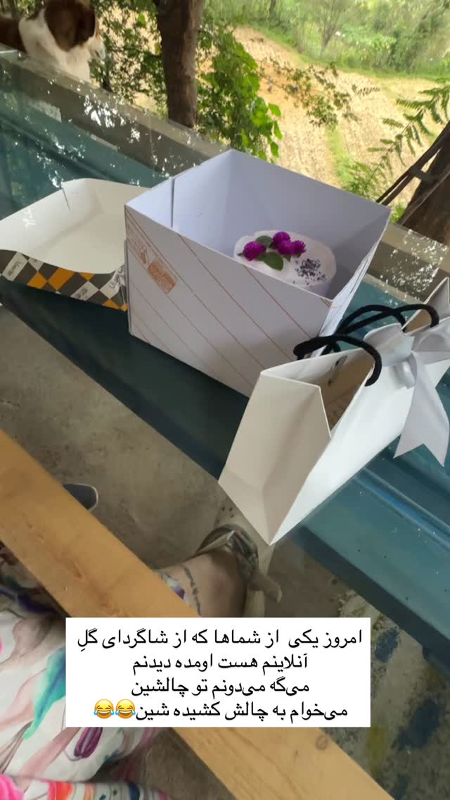  جدید ترین استوری اینستاگرام آزاده اسدی