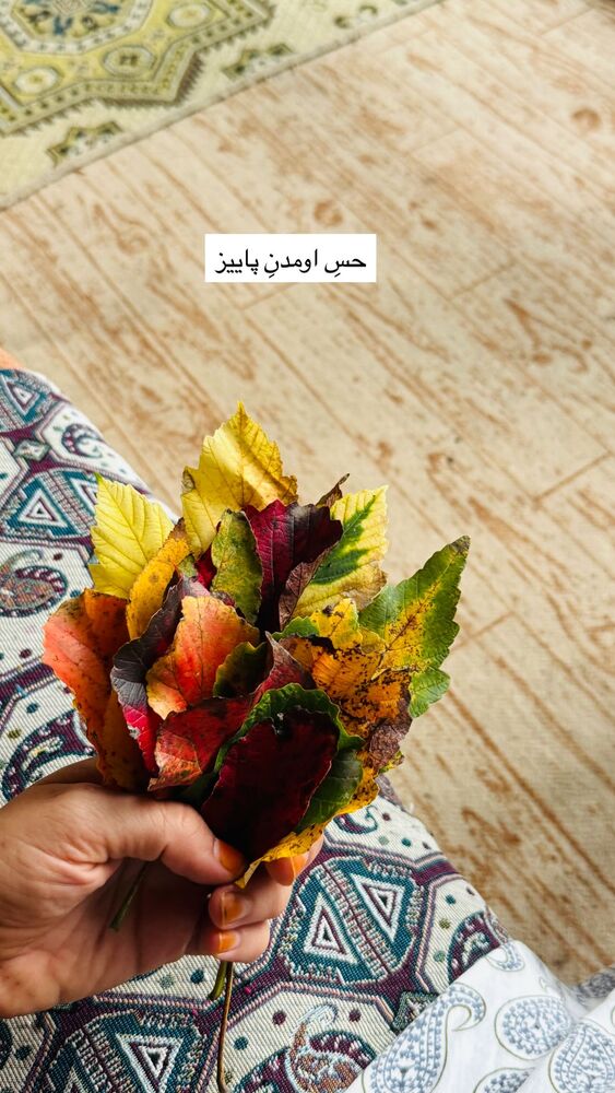  جدید ترین استوری اینستاگرام آزاده اسدی