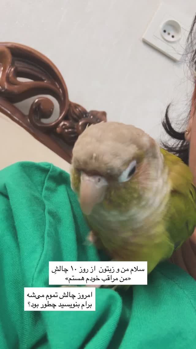  جدید ترین استوری اینستاگرام آزاده اسدی