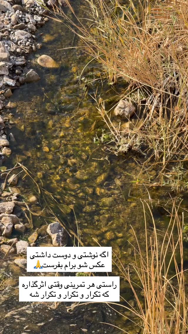  جدید ترین استوری اینستاگرام آزاده اسدی