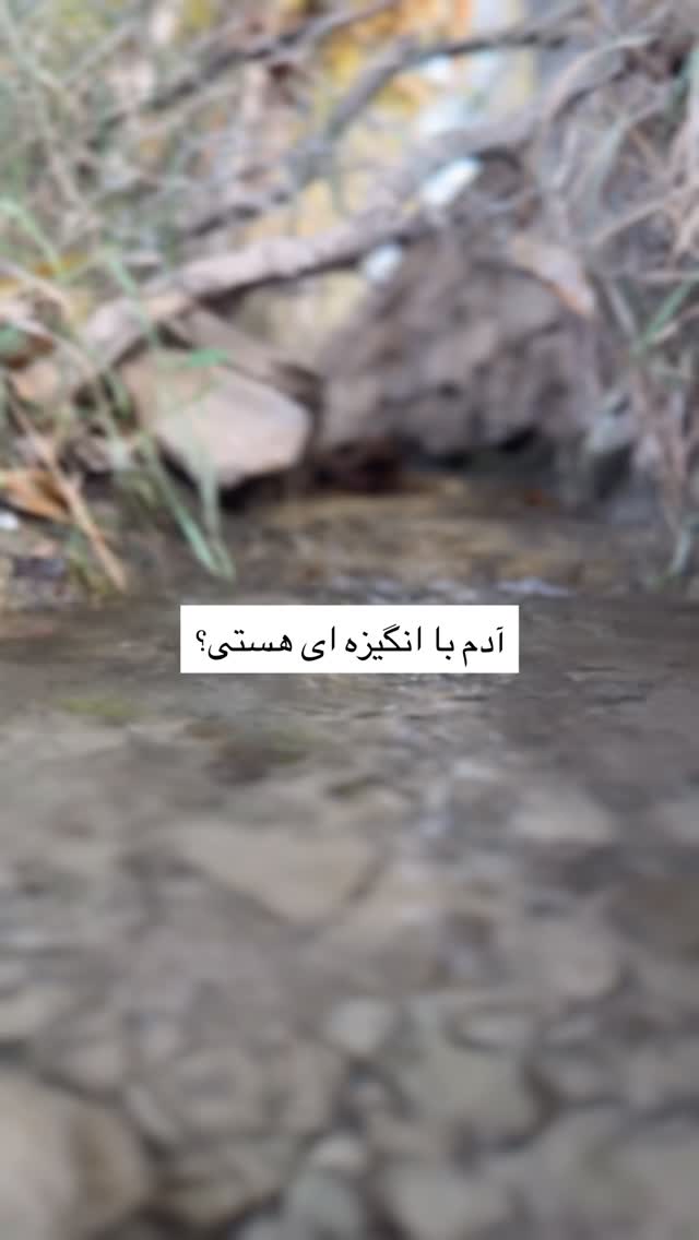  جدید ترین استوری اینستاگرام آزاده اسدی
