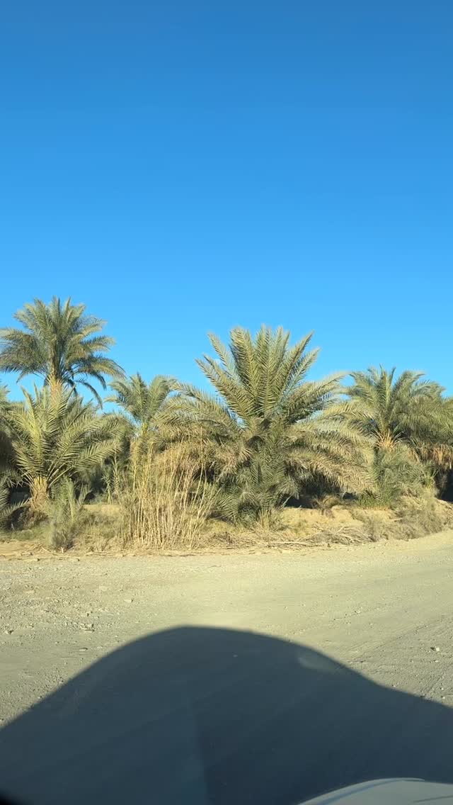  جدید ترین استوری اینستاگرام آزاده اسدی