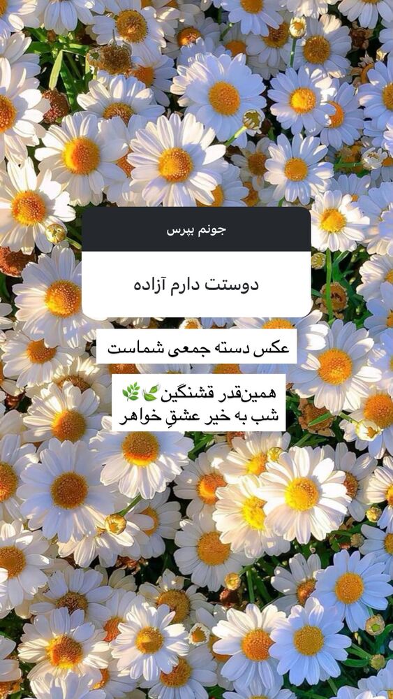  جدید ترین استوری اینستاگرام آزاده اسدی
