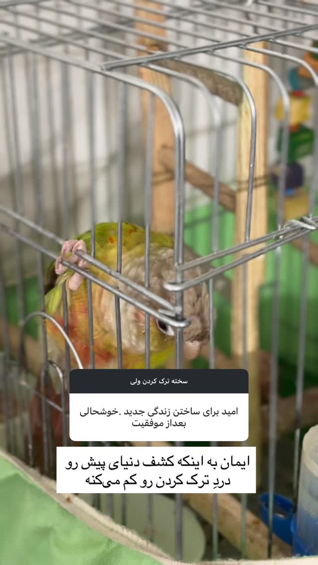  جدید ترین استوری اینستاگرام آزاده اسدی