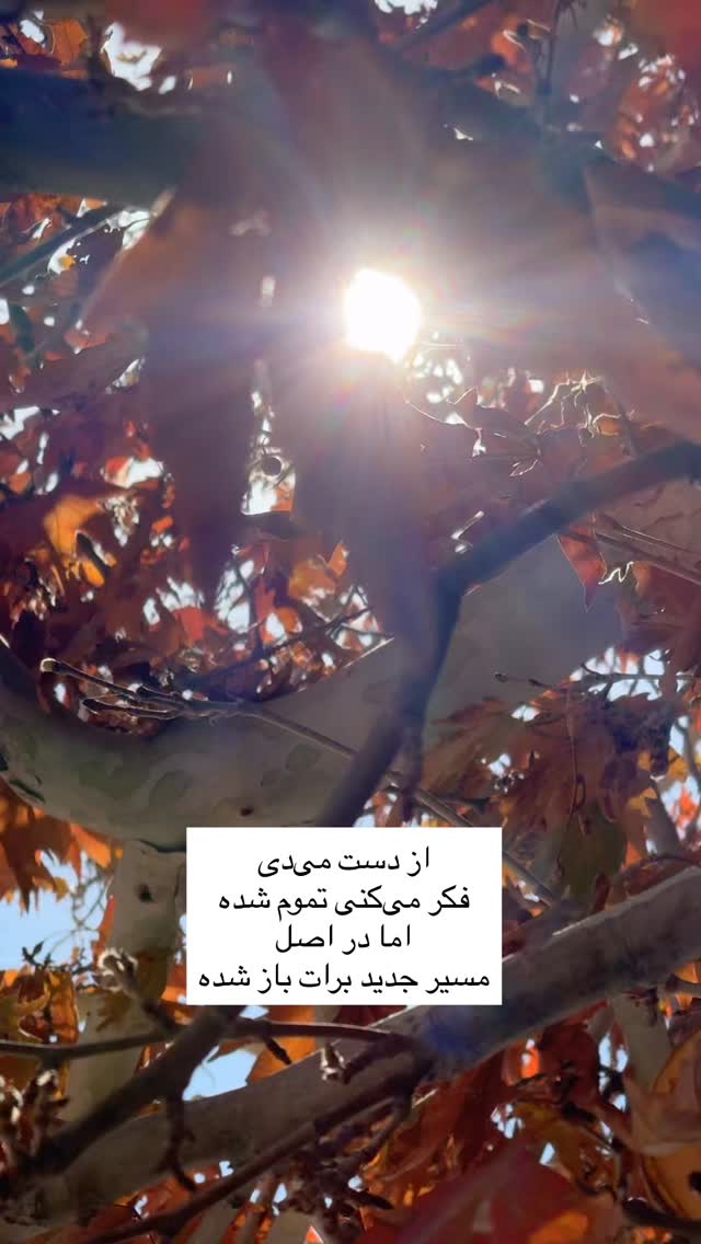  جدید ترین استوری اینستاگرام آزاده اسدی