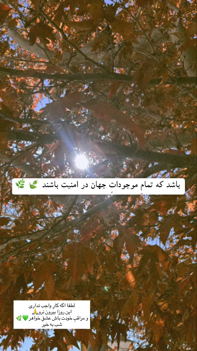  جدید ترین استوری اینستاگرام آزاده اسدی