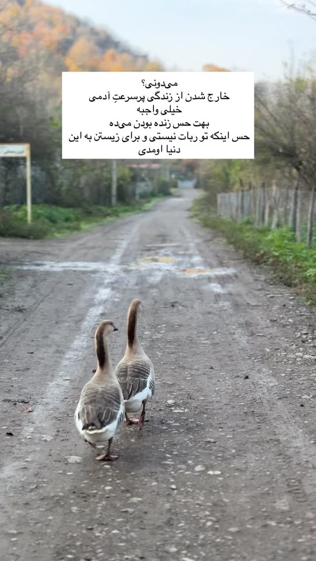  جدید ترین استوری اینستاگرام آزاده اسدی