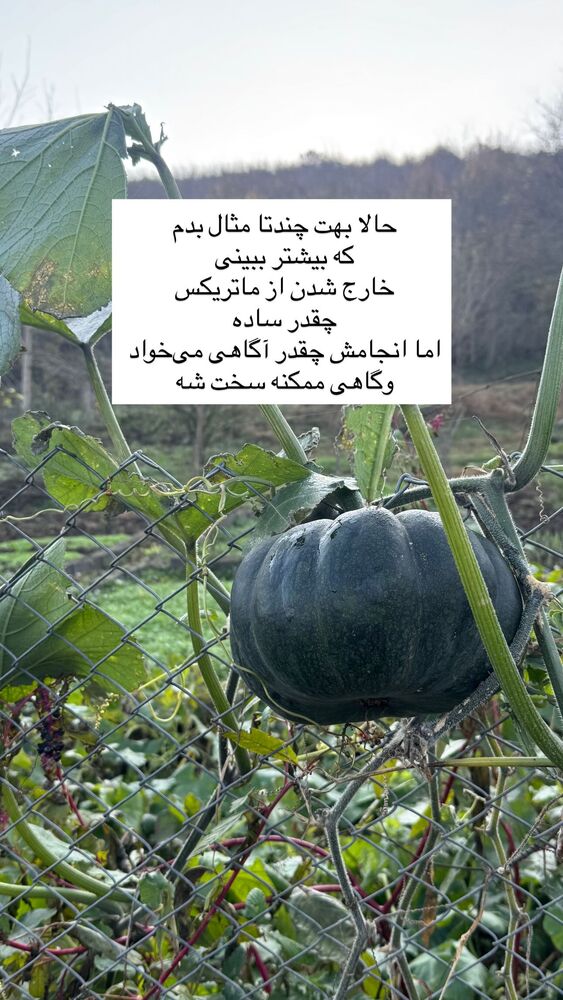  جدید ترین استوری اینستاگرام آزاده اسدی