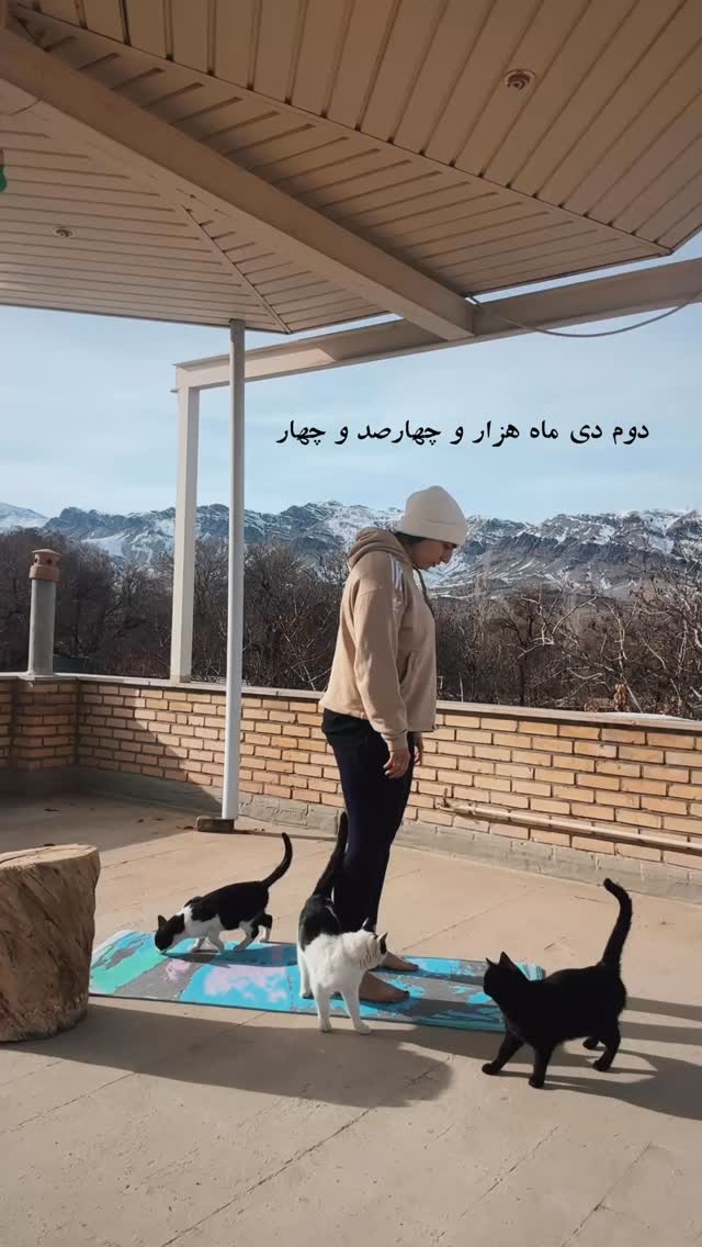  جدید ترین استوری اینستاگرام آزاده اسدی