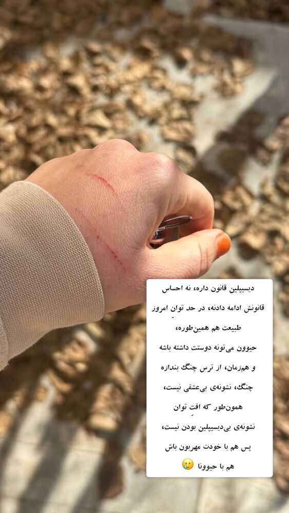  جدید ترین استوری اینستاگرام آزاده اسدی