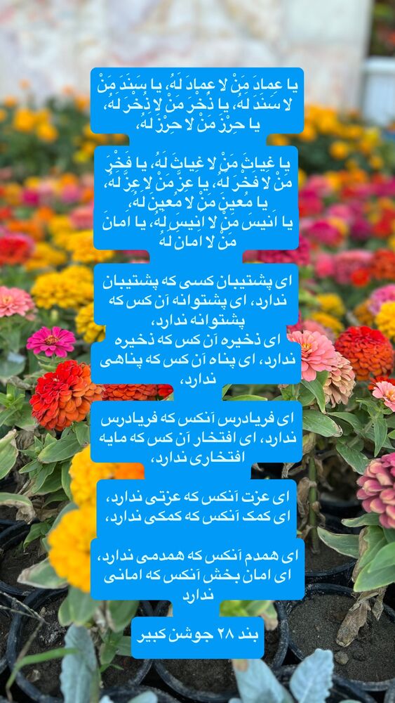  جدید ترین استوری اینستاگرام آزاده آل ایوب