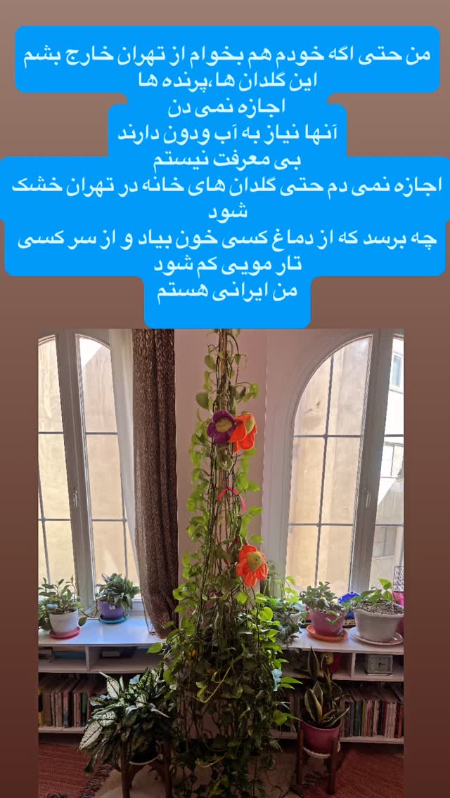  جدید ترین استوری اینستاگرام آزاده آل ایوب